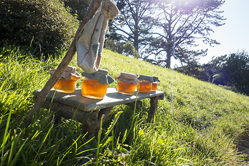 Image showing honey in the sun light