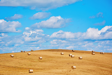 Image showing Haystacks on the Field