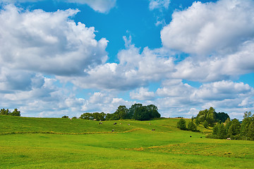 Image showing Pasture Land