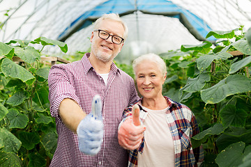 Image showing happy senior couple at farm showing thumbs up
