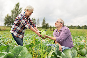 Image showing senior couple picking cabbage on farm