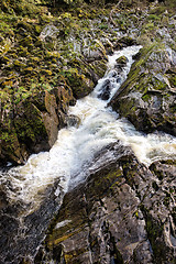 Image showing Rapid mountain river