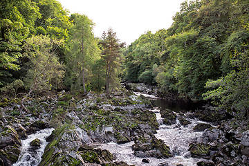 Image showing Rapid mountain river