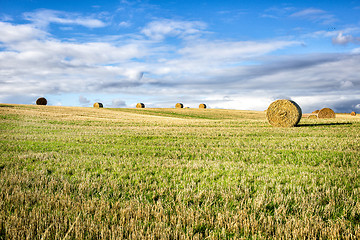 Image showing agricultural field and blue sky