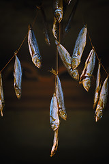 Image showing Dried Fish Hanging on Rope