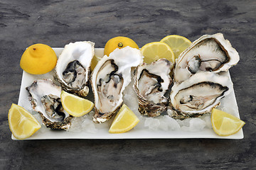 Image showing Oysters on Ice with Lemon