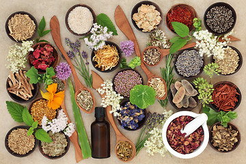 Image showing Natural Healing Herbs and Flowers