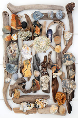 Image showing Treasure from the Seaside