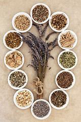 Image showing Herbs for Sleeping and Anxiety