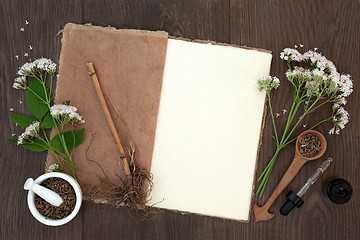 Image showing Valerian Herb Flowers and Root