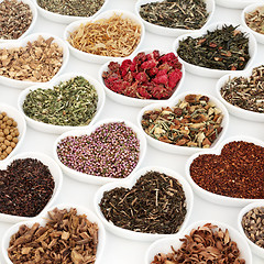 Image showing Herb Teas for Good Health  