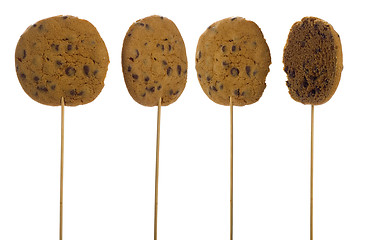 Image showing Chocolate chip cookie on a stick