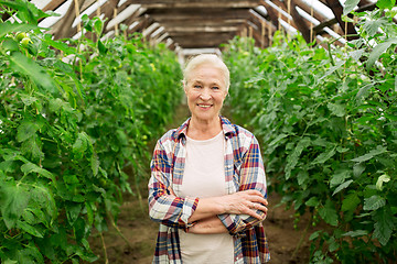 Image showing happy senior woman at farm greenhouse