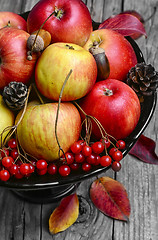 Image showing Vase with apples and rowan