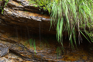 Image showing Water dropping from a rock during a storm, Alps, Italy