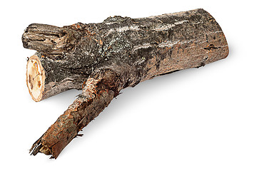 Image showing Single poplar log horizontally