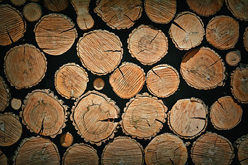 Image showing Stacked Logs Background