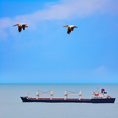 Image showing Bulk Carrier Ship