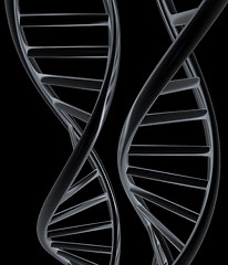 Image showing DNA structure model. 3d illustration