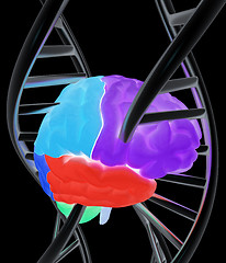 Image showing Brain and dna. 3d illustration