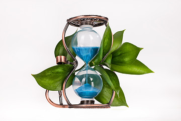 Image showing Sandglass With Leaves