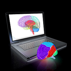 Image showing creative three-dimensional model of real human brain and scan on