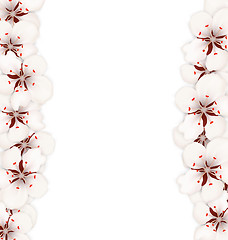 Image showing Abstract Border Made in Cherry Blossom