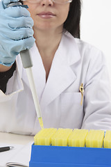 Image showing Scientist using pipette