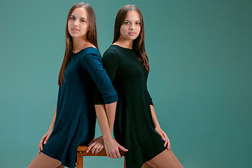 Image showing Portrait of two beautiful twin young women