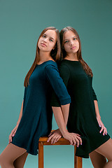 Image showing Portrait of two beautiful twin young women