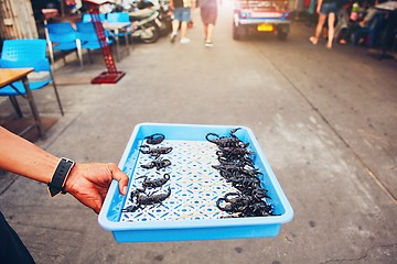 Image showing Thai vendor showing roasted scorpio