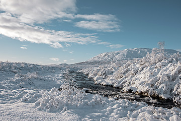 Image showing Winter landscape