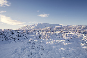 Image showing Winter landscape