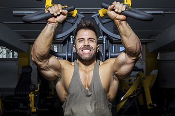 Image showing handsome bearded bodybuilding man