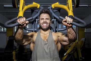 Image showing handsome bearded bodybuilding man