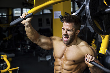 Image showing handsome bearded bodybuilding man