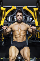 Image showing handsome bearded bodybuilding man