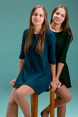 Image showing Portrait of two beautiful twin young women