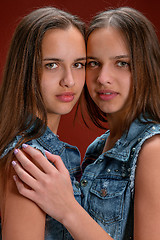 Image showing Portrait of two beautiful twin young women