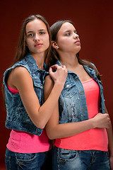 Image showing Portrait of two beautiful twin young women