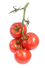 Image showing Tomatoes