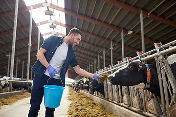 Image showing man feeding cows with hay in cowshed on dairy farm