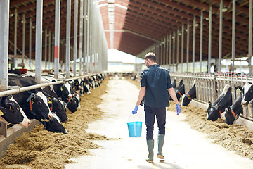 Image showing man with bucket walking in cowshed on dairy farm