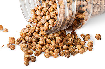 Image showing Coriander seeds are poured out from a jar