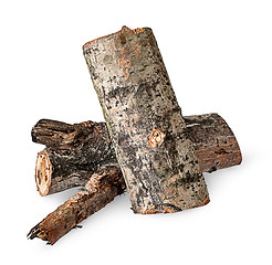 Image showing Two poplar logs