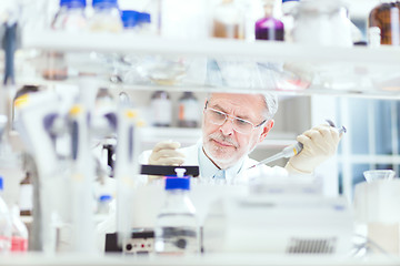 Image showing Life scientist researching in the laboratory.