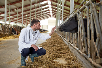 Image showing veterinarian with cows in cowshed on dairy farm