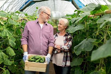 Image showing senior couple with box of cucumbers on farm