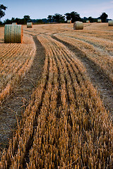 Image showing Bales of straw in field