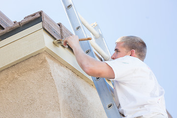 Image showing Professional Painter Using Small Roller to Paint House Fascia